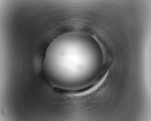X0000088640818200706011201
