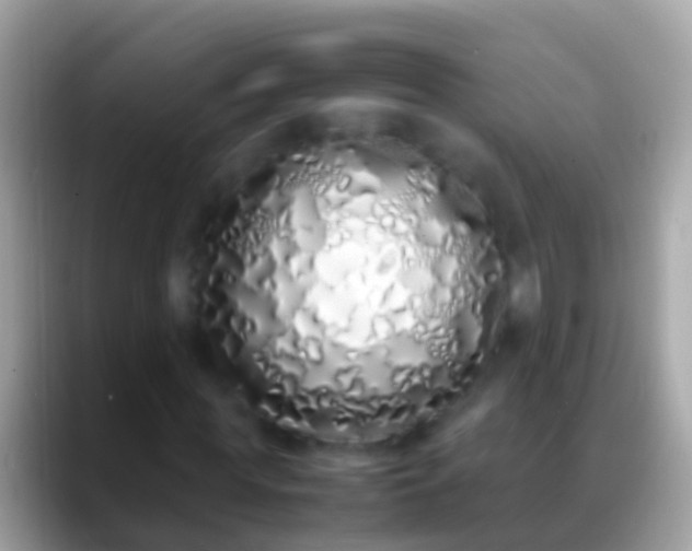 X0000088640819200706011201
