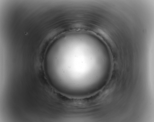 X0000088640823200706011201