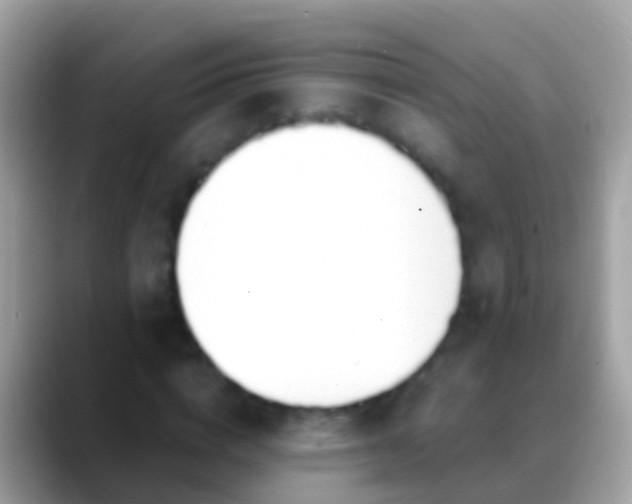 X0000088640824200706011201