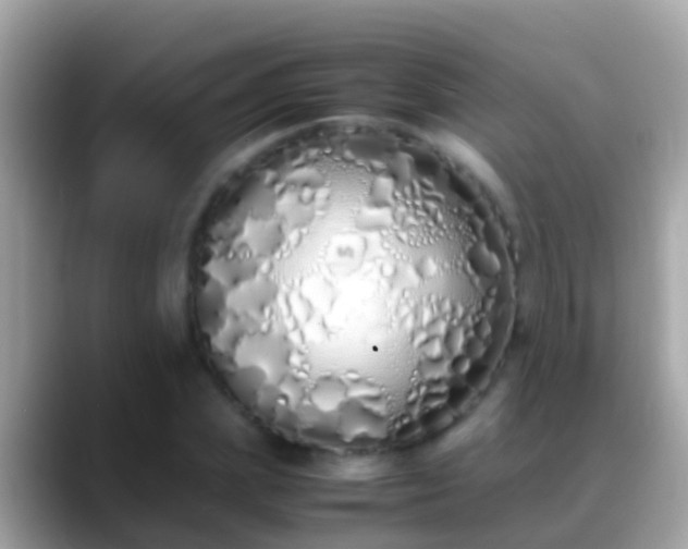 X0000088640831200706011201