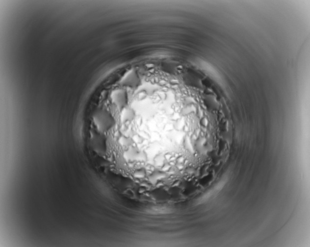 X0000088640835200706011201