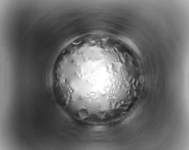 X0000088640839200706011201