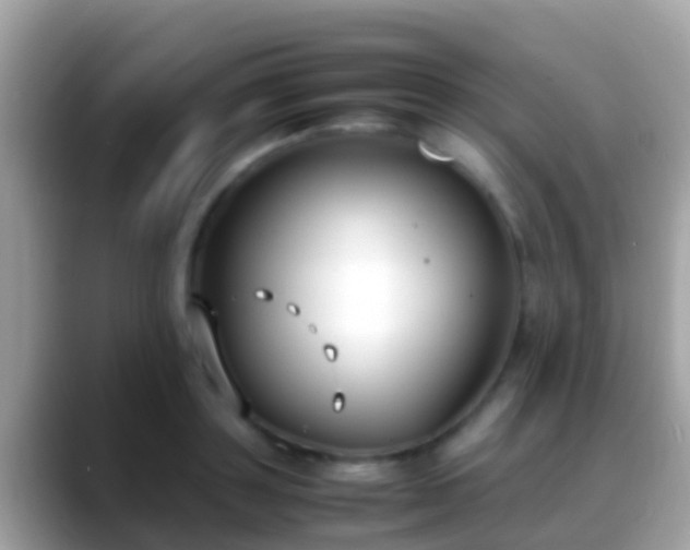 X0000088640843200706011201