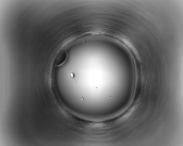 X0000088640845200706011201