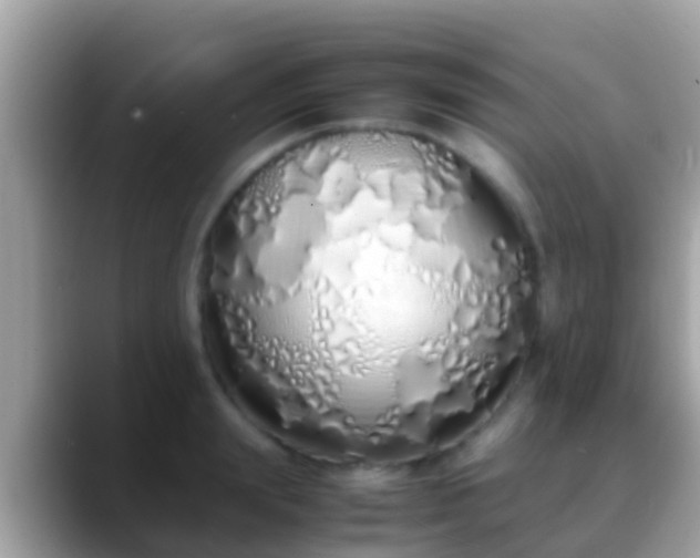 X0000088640847200706011201