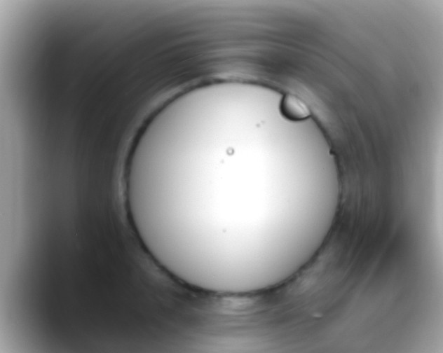 X0000088640848200706011201