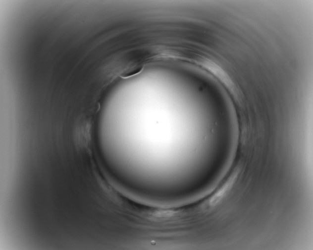 X0000088640849200706011201