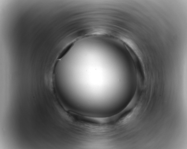 X0000088640850200706011201
