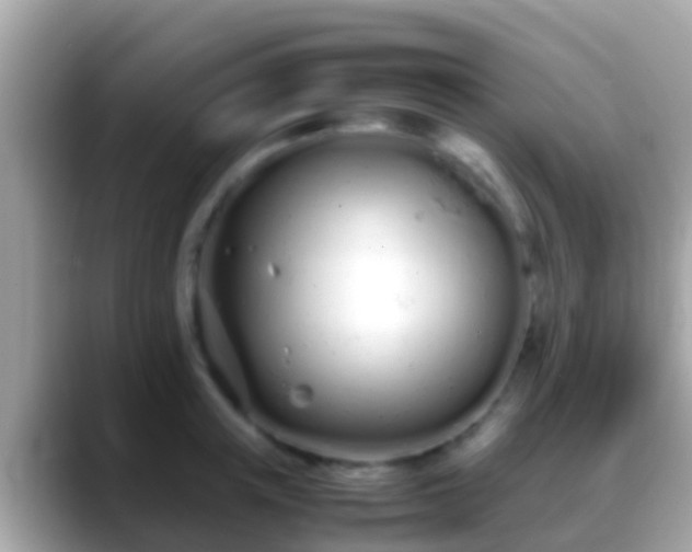 X0000088640851200706011202