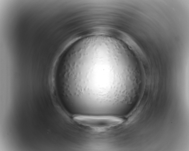 X0000088640852200706011202