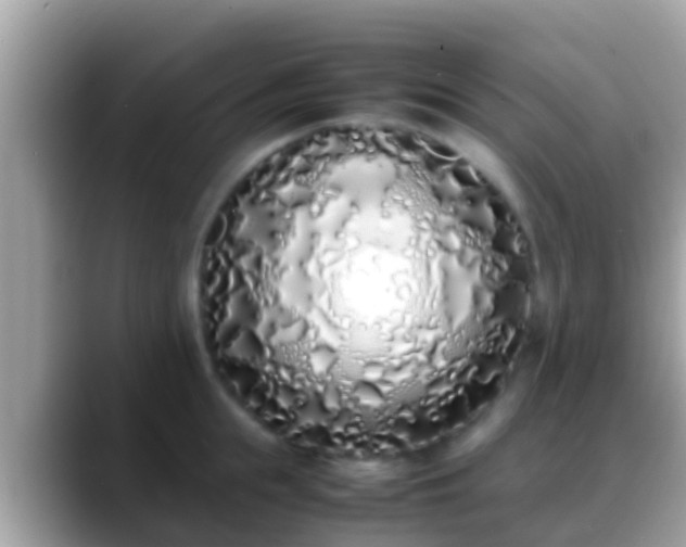 X0000088640855200706011202