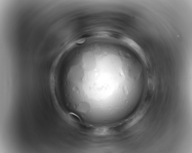 X0000088640859200706011202