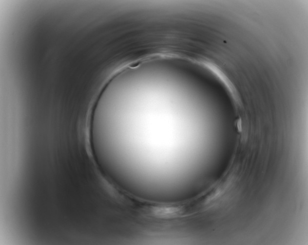 X0000088640861200706011202