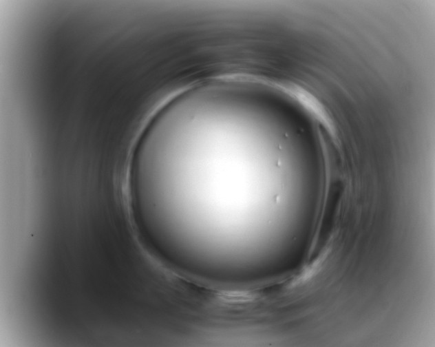 X0000088640863200706011202