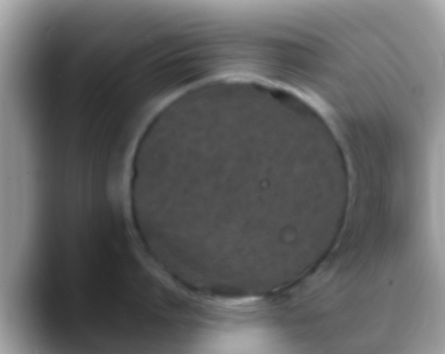 X0000088640864200706011202