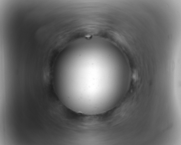 X0000088640867200706011201