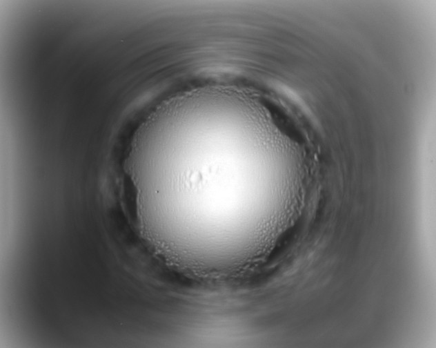X0000088640871200706011201