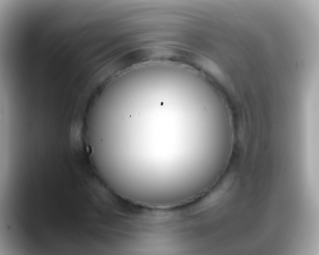X0000088640873200706011201