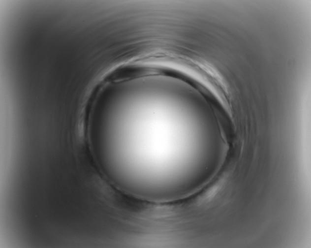 X0000088640877200706011201