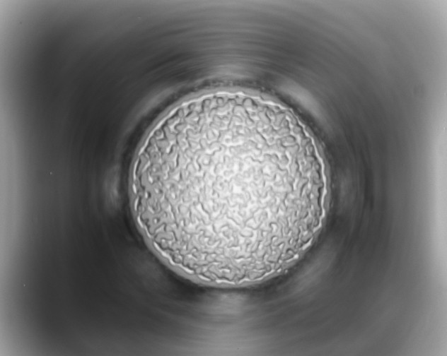 X0000088640878200706011201