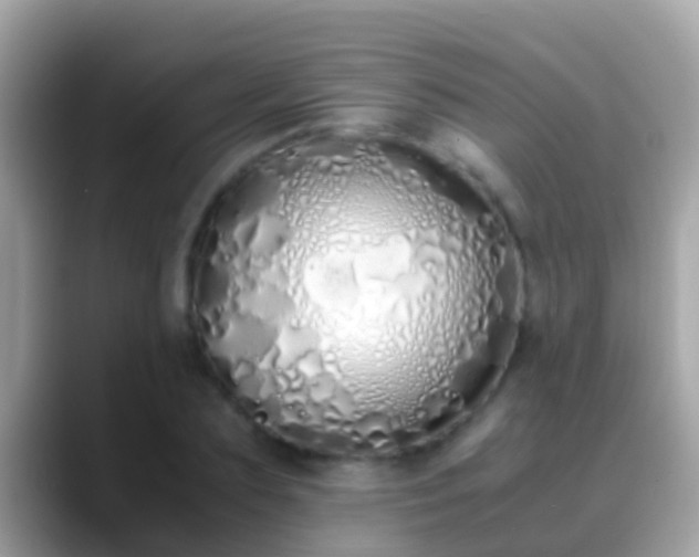 X0000088640883200706011201