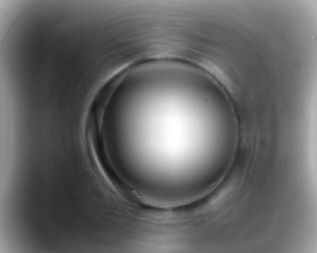 X0000088640885200706011201