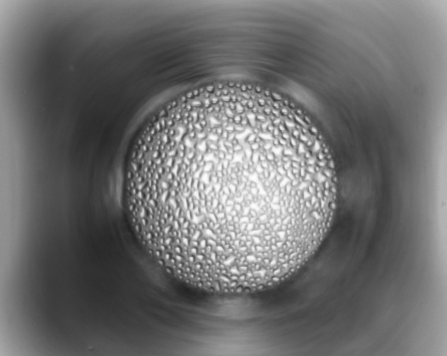 X0000088640886200706011201