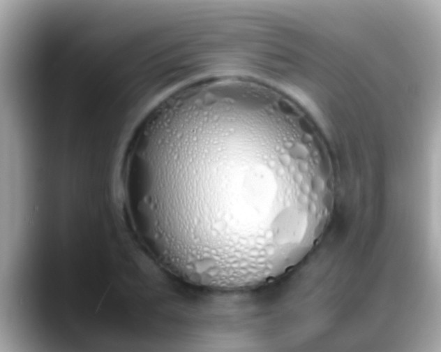 X0000088640887200706011201