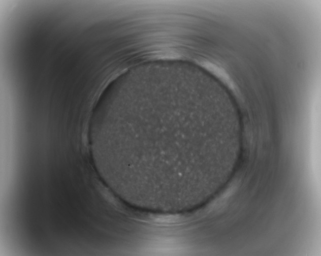 X0000088640889200706011201