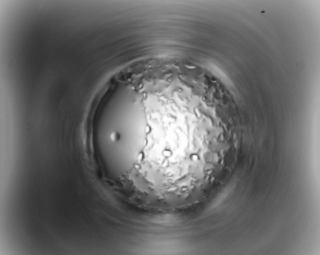 X0000088640891200706011201