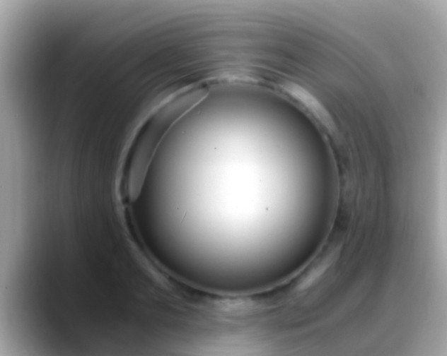 X0000088640893200706011201