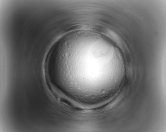 X0000088640899200706011201