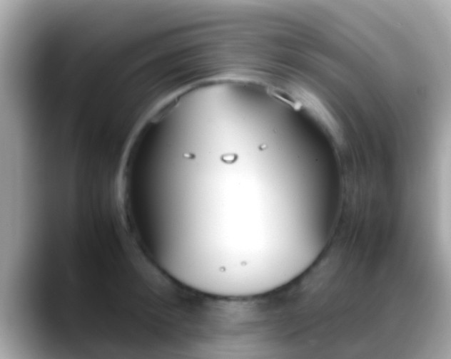 X0000088640900200706011201