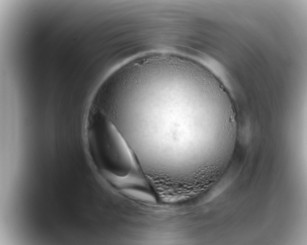 X0000088640903200706011201