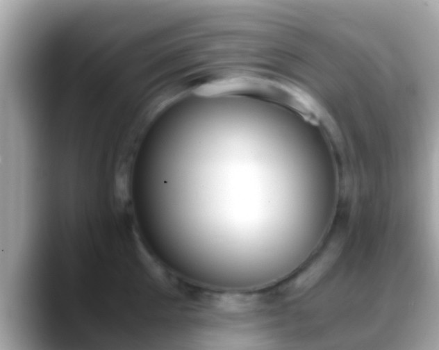 X0000088640905200706011201