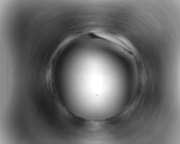 X0000088640910200706011201