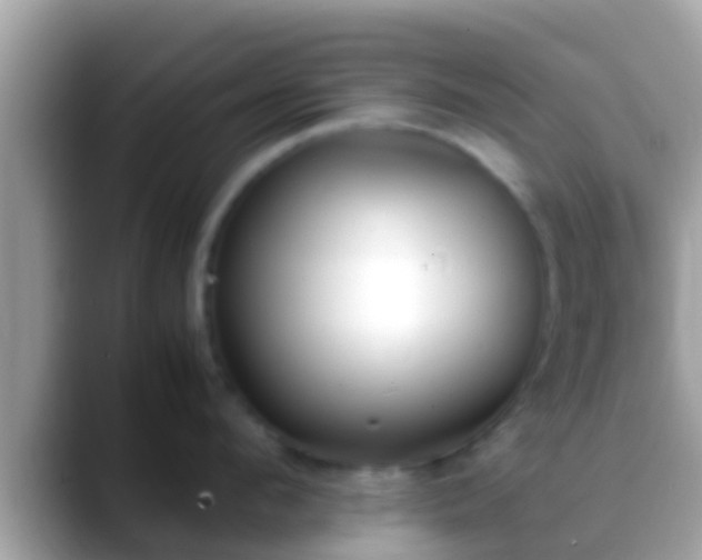 X0000088640912200706011201