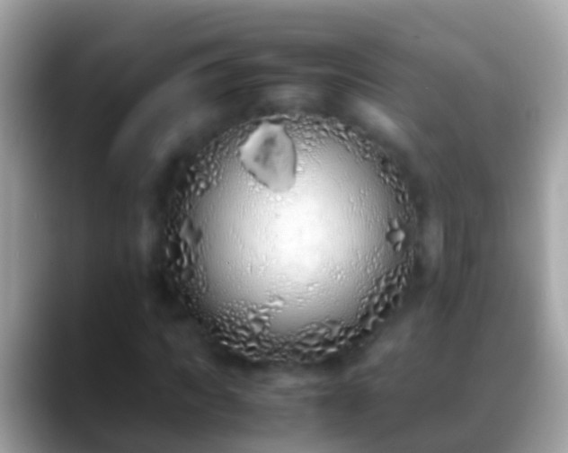 X0000088640917200706011200