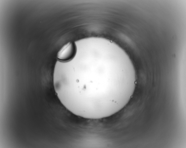 X0000088640918200706011200