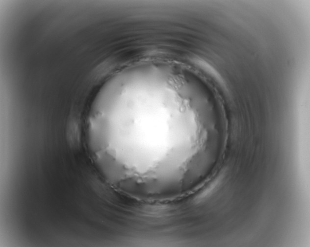 X0000088640921200706011200