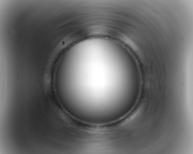 X0000088640922200706011200