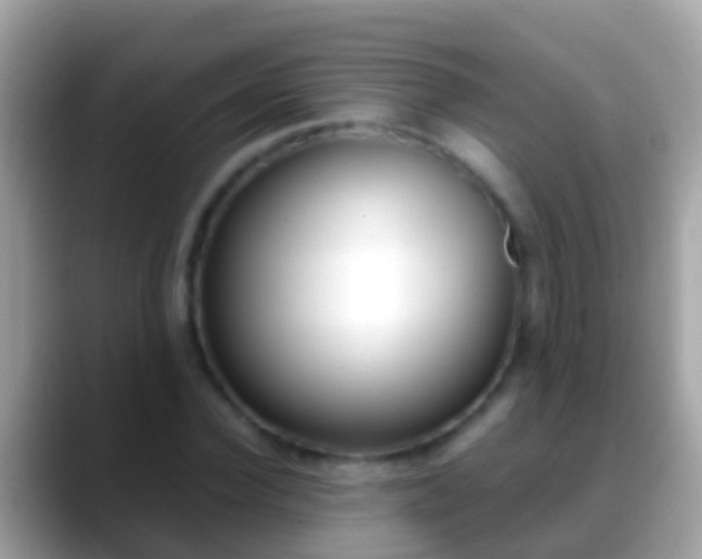 X0000088640924200706011200