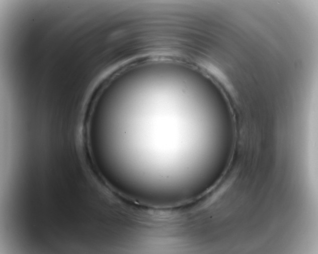 X0000088640928200706011200