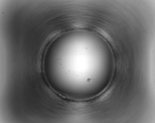 X0000088640930200706011200