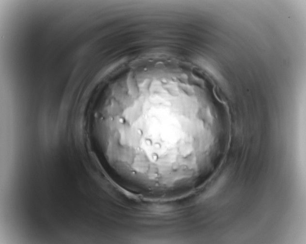 X0000088640933200706011200