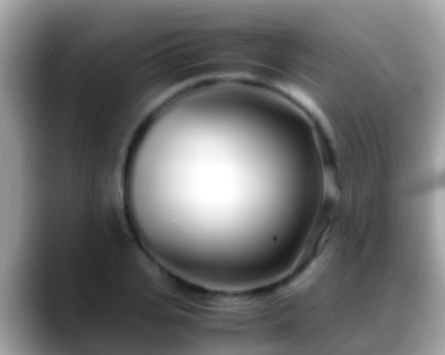 X0000088640935200706011200