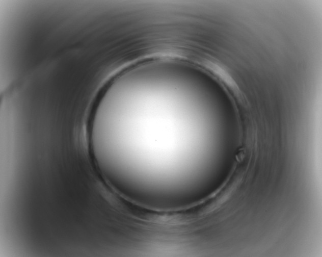 X0000088640936200706011200