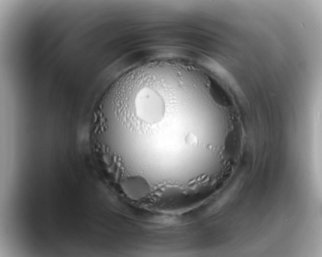 X0000088640937200706011200