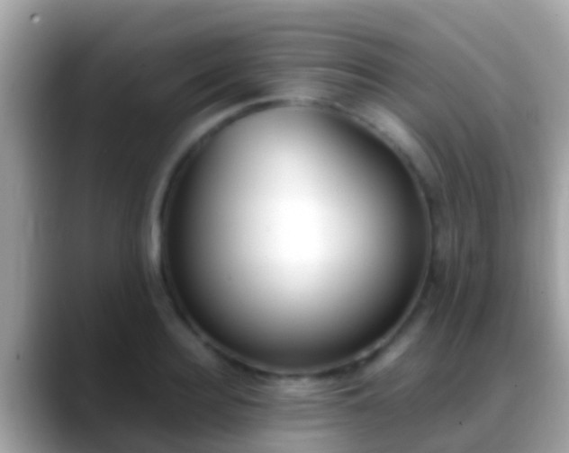 X0000088640940200706011200